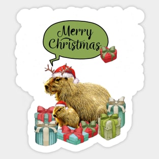 Capybara Merry Christmas and Christmas composition and gift box! Cute capybara Sticker